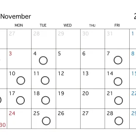 2025年1１月の営業日の画像